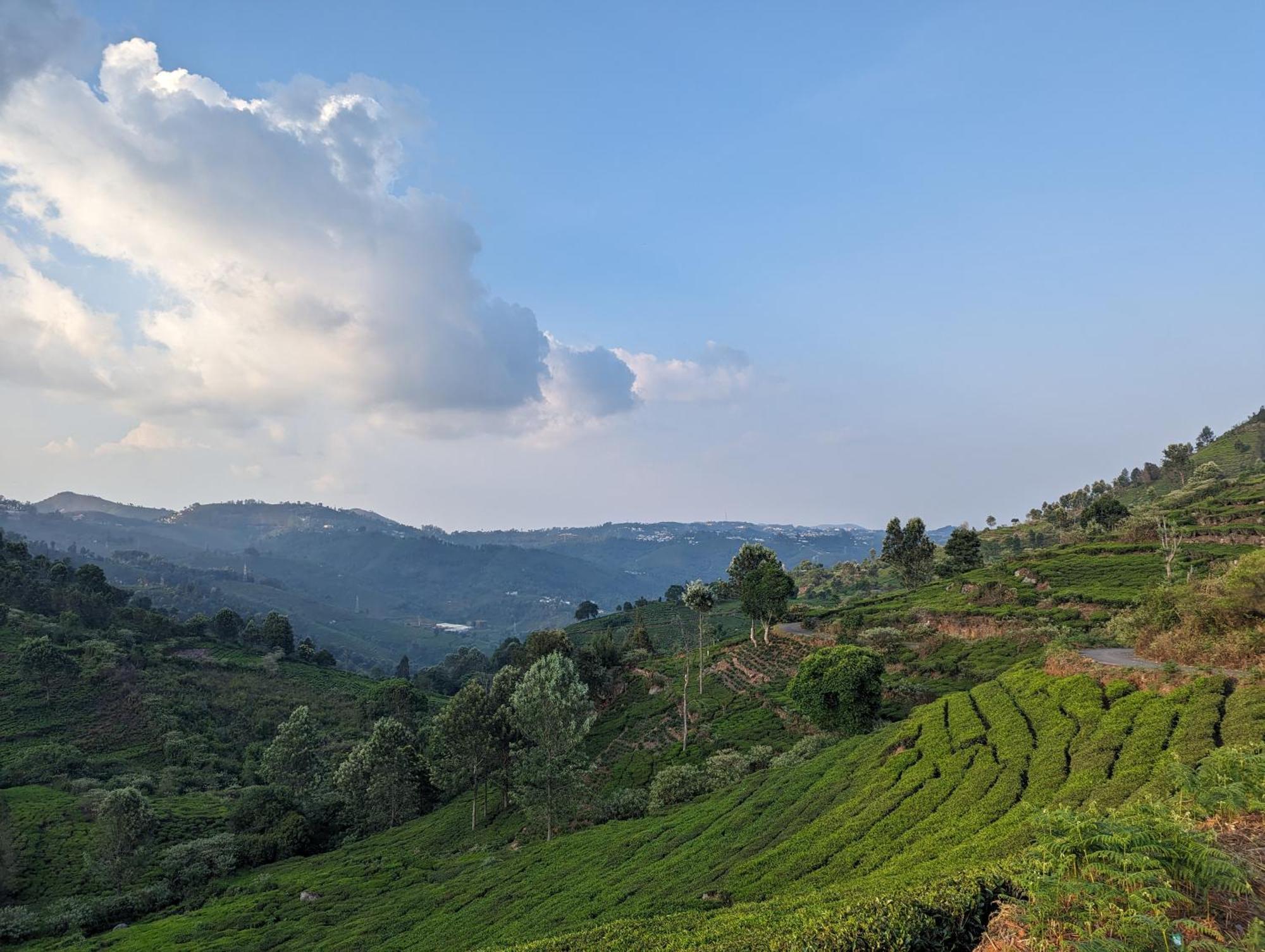 Ghar Homestay, 코타지리 외부 사진