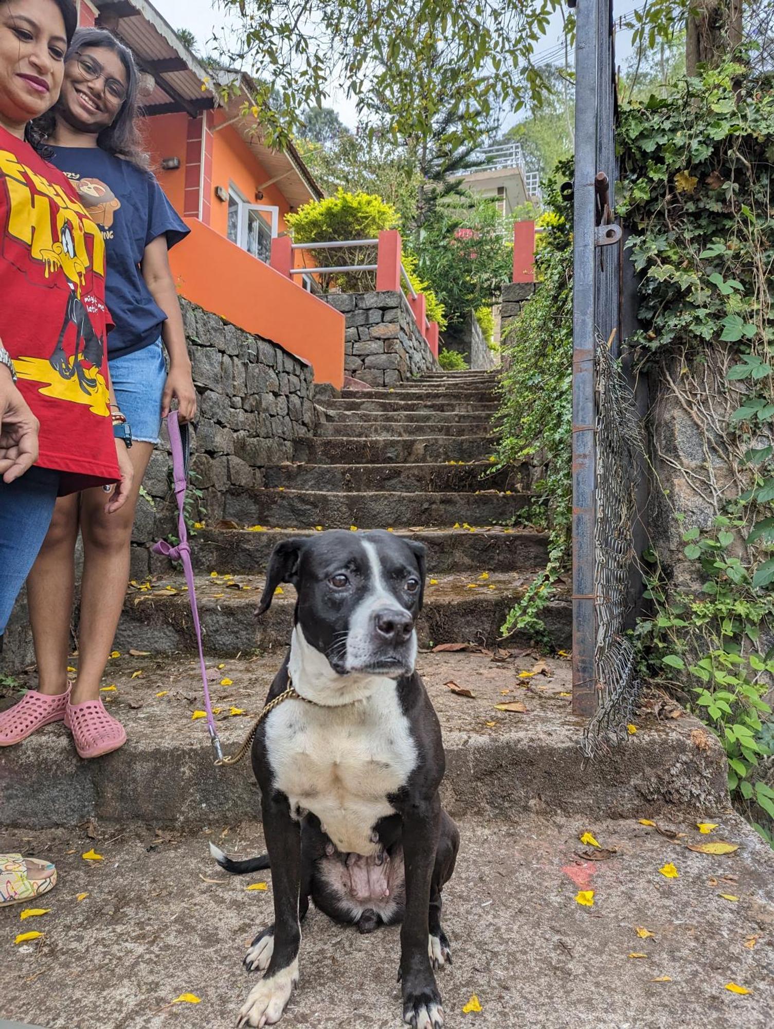 Ghar Homestay, 코타지리 외부 사진