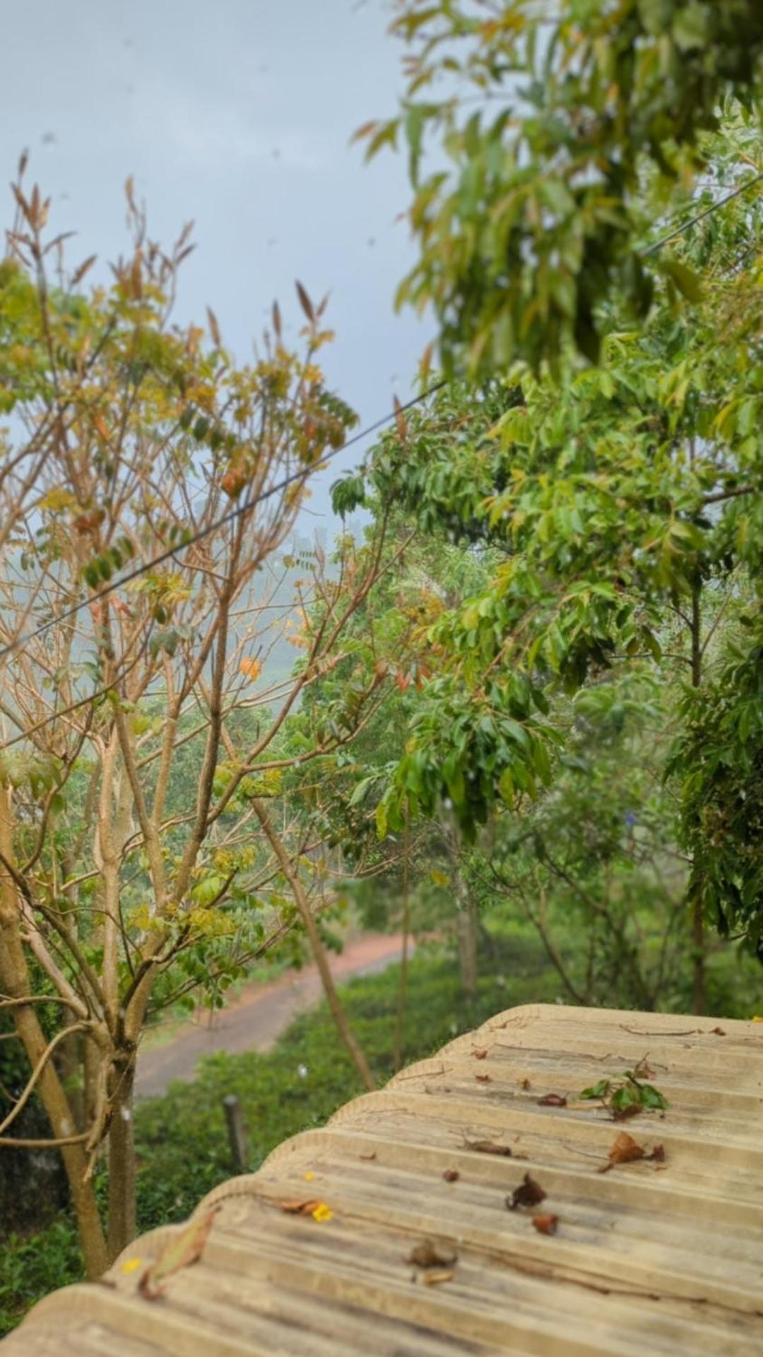 Ghar Homestay, 코타지리 외부 사진