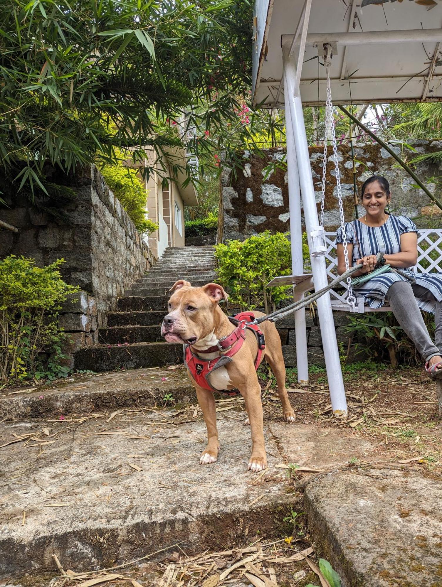 Ghar Homestay, 코타지리 외부 사진