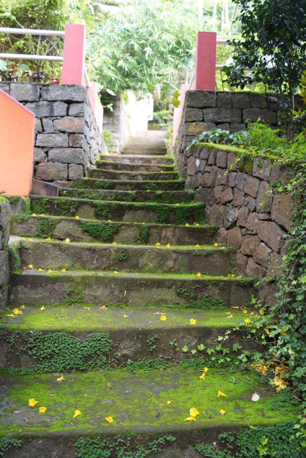 Ghar Homestay, 코타지리 외부 사진