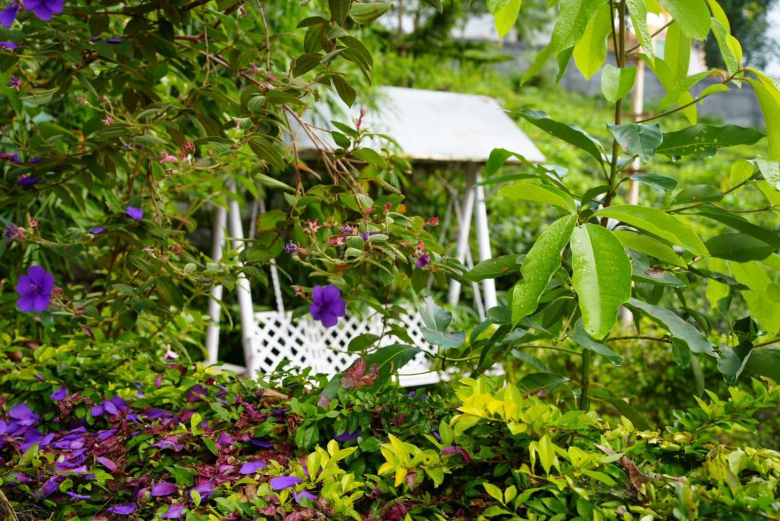 Ghar Homestay, 코타지리 외부 사진